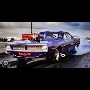 Meet your Posher, Mindi